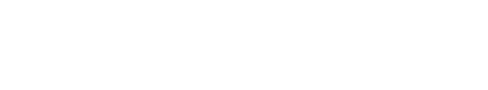 Bridge or Bust logo